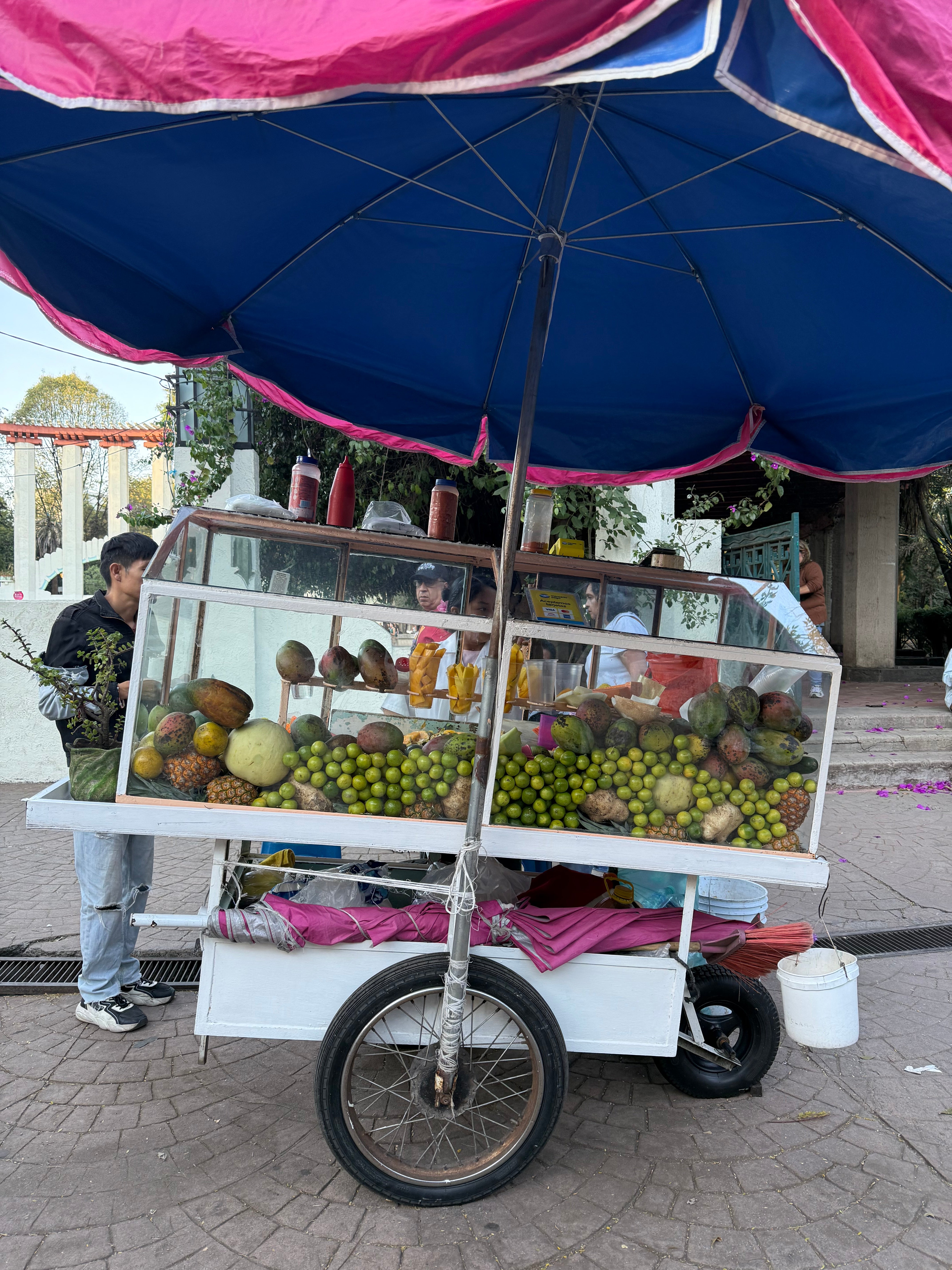 Imagen de diapositiva