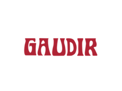 Gaudir Swim 