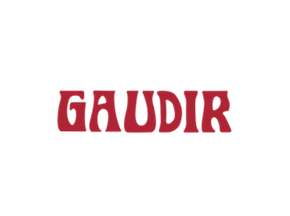 Gaudir Swim 